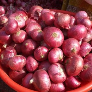 Onion Exporter from india