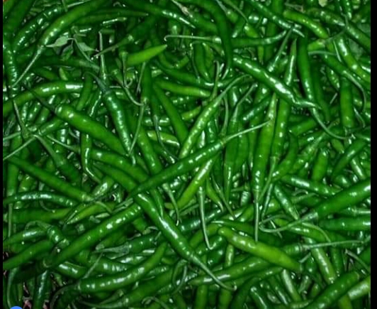 Green Chilli Exporter