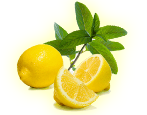 Lemon Exporter