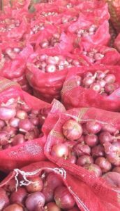 Red Onion Supplier