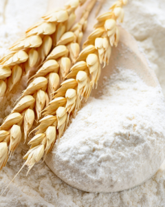 Wheat Flour Exporter from India